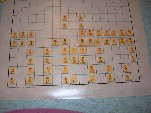 Dai Shogi: all pieces