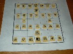 Tori Shogi: setup